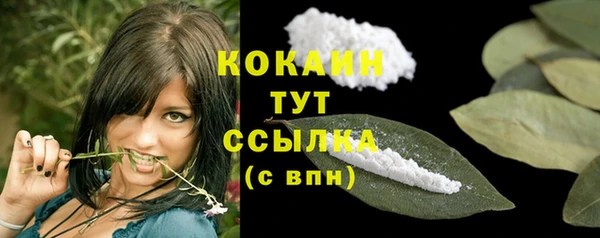 стаф Ладушкин