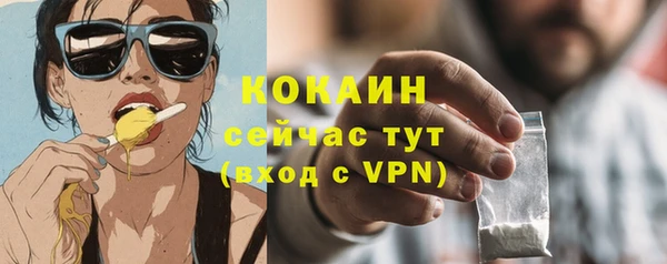 эйфоретик Липки