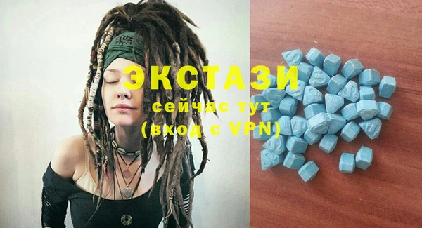 винт Лагань