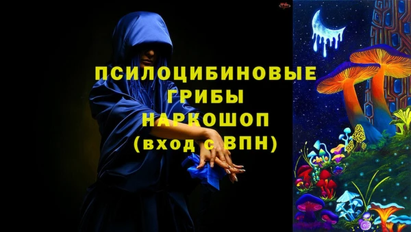 стаф Ладушкин