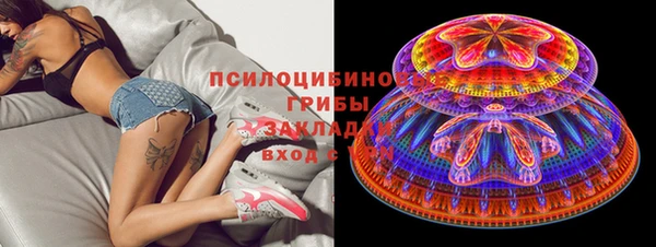 винт Лагань