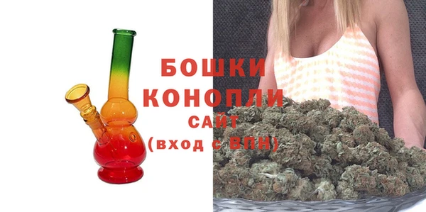винт Лагань