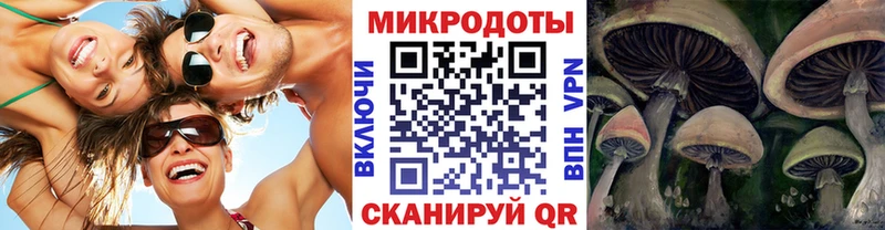 Галлюциногенные грибы GOLDEN TEACHER  Рязань 