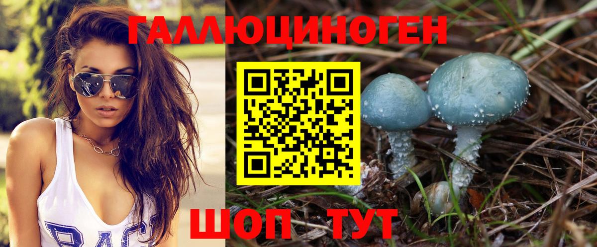 Alpha PVP СОЛЬ кристаллы  Кокаин  Продажа наркотиков  МЕФ кристаллы  Бошки Шишки  Рязань  Вход с VPN  Гашиш  Меф 