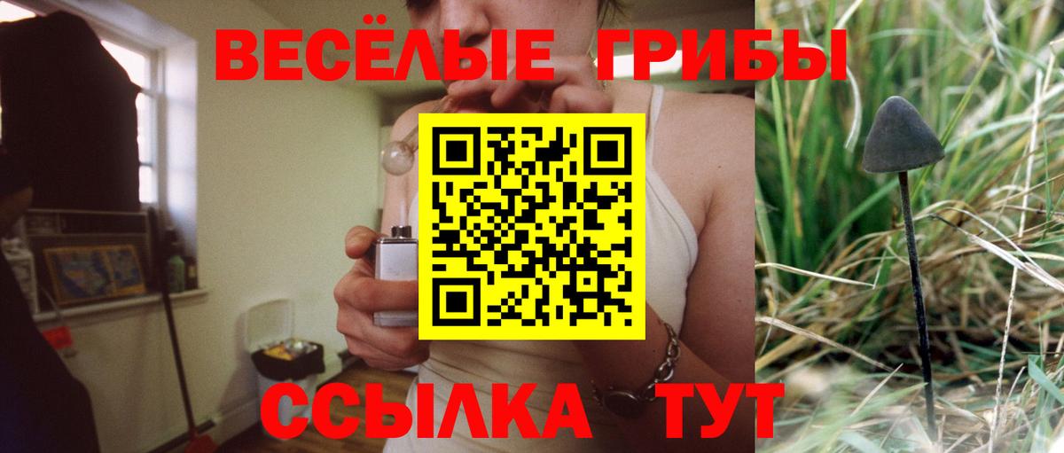 Галлюциногенные грибы мицелий  Вход с VPN  Рязань 