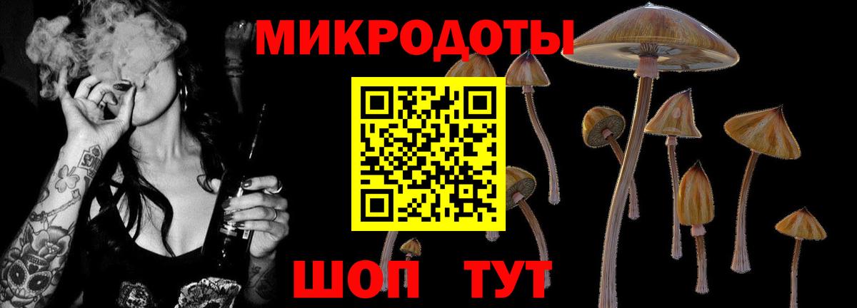 Галлюциногенные грибы Cubensis Рязань